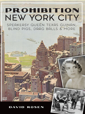 cover image of Prohibition New York City